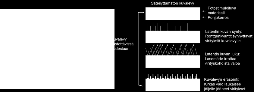 Kun kuvalevy on skannattu, se puhdistetaan vielä mahdollisesti jääneistä virityksistä voimakkaalla valolampulla. - Skannauksessa tieto valomääristä tallennetaan tietokoneen muistiin.