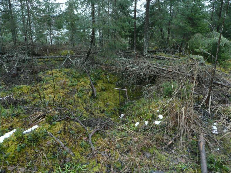 Kairanäytteessä nokea ja hiiltä mutta ei huuhtoutumiskerrosta.