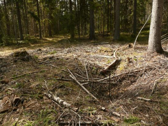 2012 inventointi Paikka sijaitsee Asikkalan kirkosta 12,2 km koilliseen. Hiilimiilu, soikeahko, koko 2,5x2 m ja syvyys 0,6 m.
