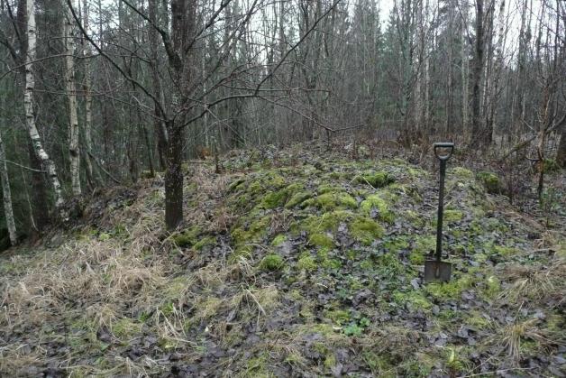 437 505 X: 6781 632 Y: 3437 650 Tutkijat: Poutiainen H 2012 inventointi Paikka