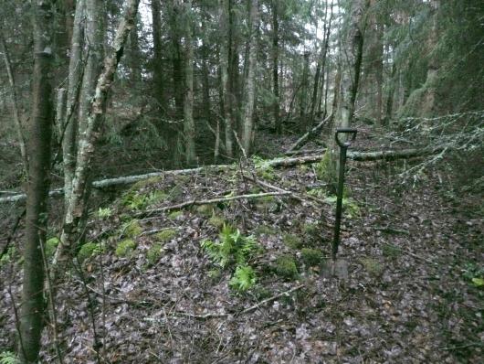 6788 915 Y: 3438 942 Tutkijat: Poutiainen H 2012 inventointi Paikka sijaitsee Asikkalan kirkosta
