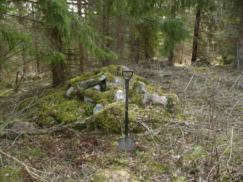 Sijaitsevat Keltalahden kylässä, Ruotsalaisen