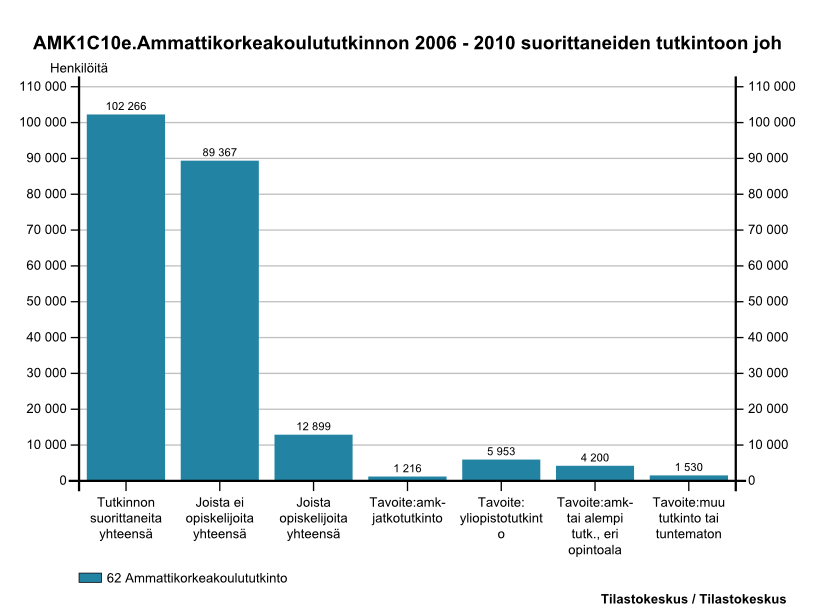 AMK-tutkinnon 2006-2010