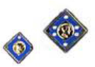 ROTARYSÄÄTIÖ TUTUKSI - TUNNUKSET EREY - Every Rotary Every Year Jäsenyys Paul Harris kannattajayhdistykseen Rotary Foundation Sustaining Member Vuosittain 100 $ lahjoitus Vuosirahastoon.