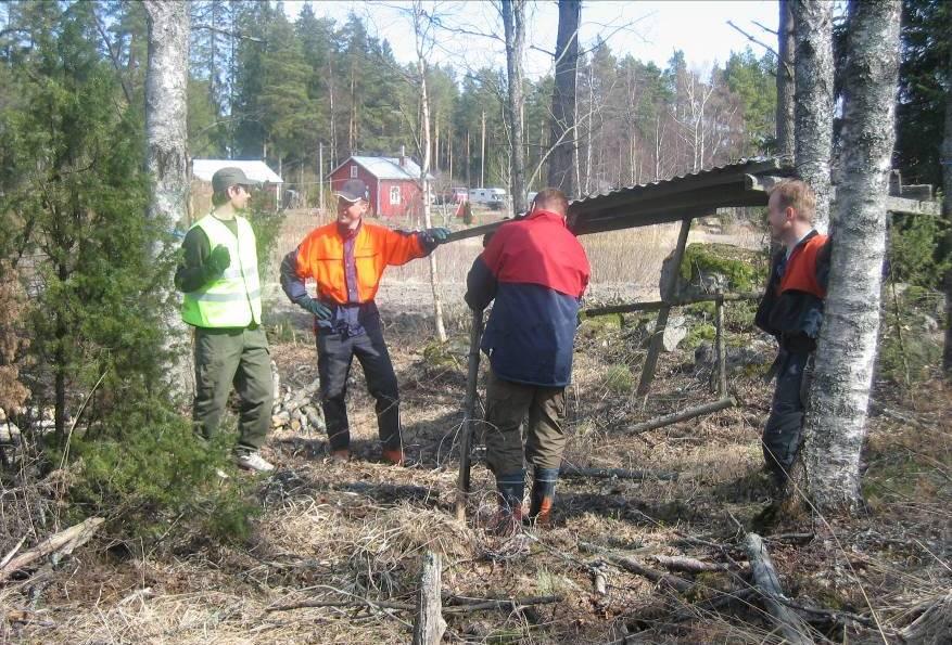 18 /22 Saaristo kunnissa ja kyselyalueella on karjatiloja melko vähän. Mutta noin kolmanneksella (32,3%) vastanneista viljelijöistä on laiduneläimiä. Puolella (58%) heistä on lammaseläimiä.