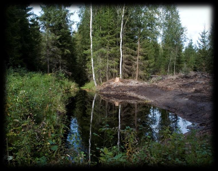 Luonnonmukainen peruskuivatus Tavoitteet ja menetelmät Kuva: Liisa Hämäläinen Kuva: