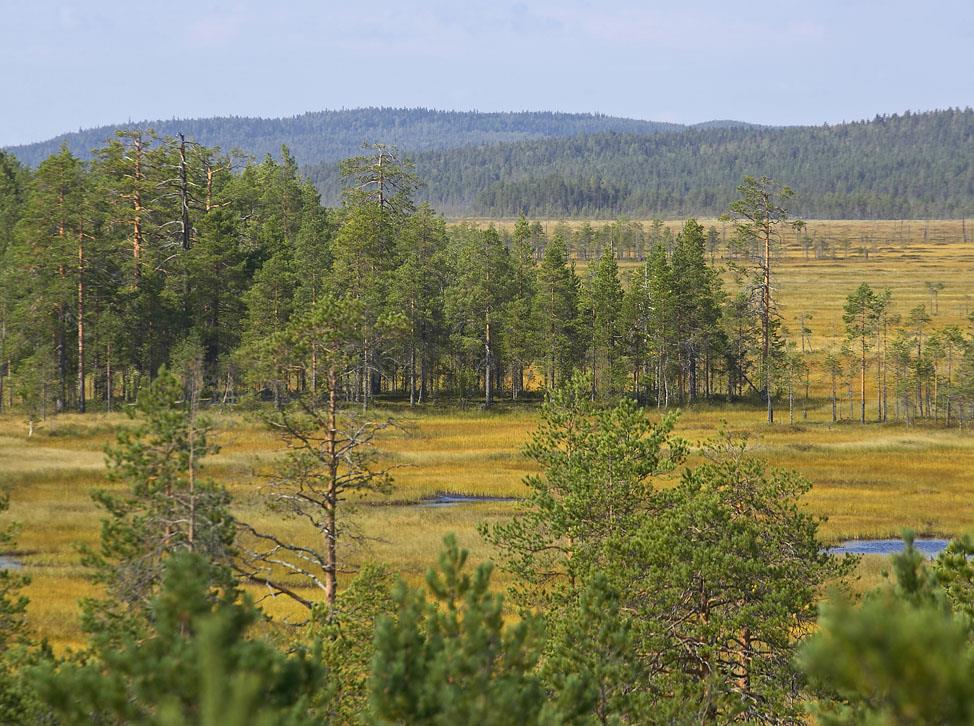 Kansallispuistokävijöiden kokemia ja muualla