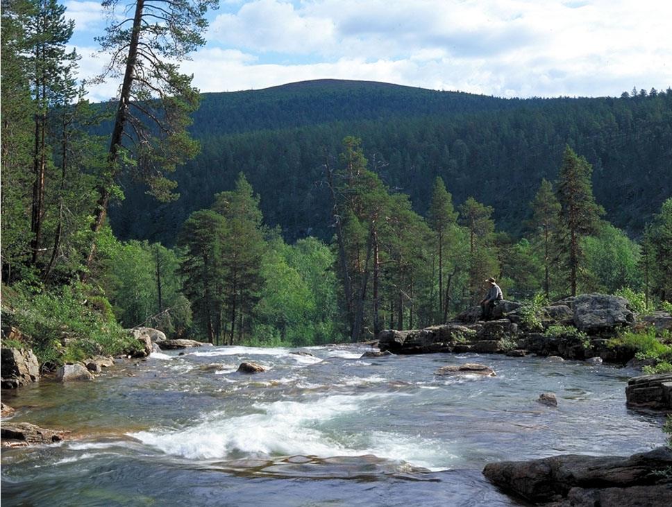 Kansallispuistokäynti vaikuttaa kohentaa tehokkaasti mielialaa ja elvyttää stressistä luonto laskee verenpainetta, palauttaa psyykkisestä ja fyysisestä kuormituksesta