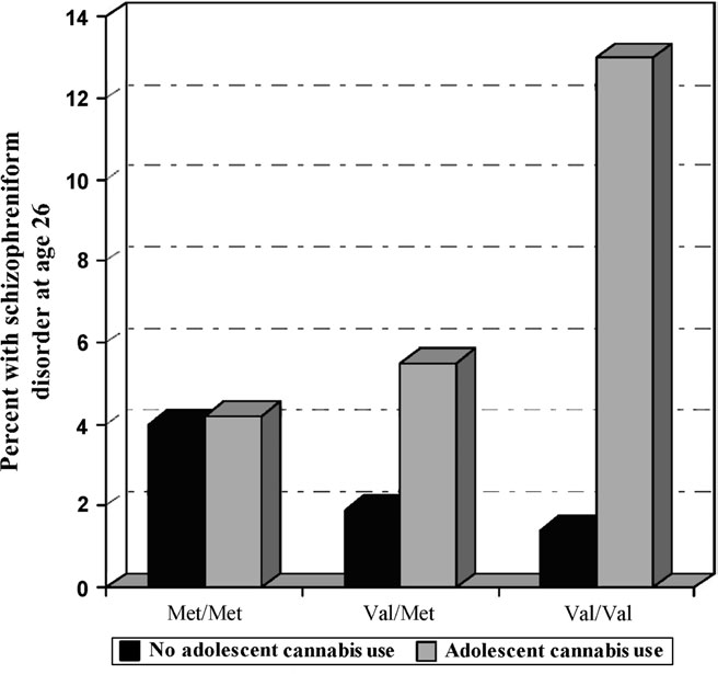 Kannabiksen käyttö nuoruudessa lisää skitsofrenian riskiä aikuisena henkilöillä, joilla on COMT Val158Met geenin valiinialleeli Caspi A, Moffitt TE, Cannon M, et al.