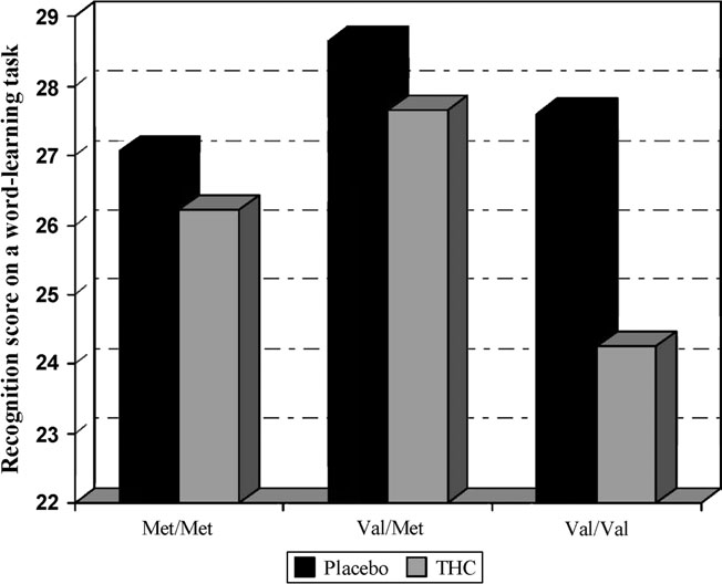 THC heikentää muistitoimintoja etenkin henkilöillä, joilla on COMT Val158Met geenin 2 valiinialleelia. Henquet C, Rosa A, Krabbendam L, et al.