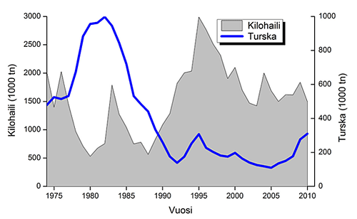 Kuvassa on turskan biomassa (sininen viiva) ja