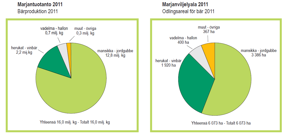 Yleistä Mansikat ovat ruusukasveihin (Rosaceae) kuuluvia Fragaria -suvun kasveja, joita on eri puolilla maapalloa n. 20 lajia. Suomessa niistä esiintyy luonnonvaraisena ahomansikka (F. vesca).