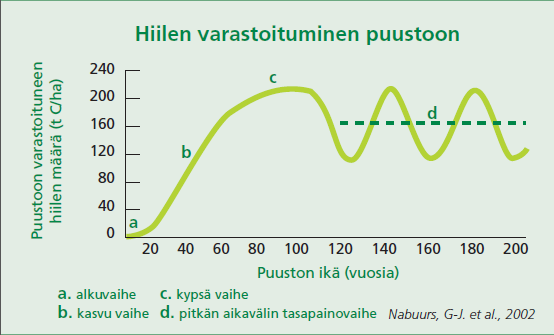 metsiä tehokkaampia hiilinieluja. Luonnontilaisissa vanhoissa metsissä on varastossa enemmän hiiltä kuin talousmetsissä, mutta se vapauttaa yhtä paljon hiilidioksidia kuin sitookin.