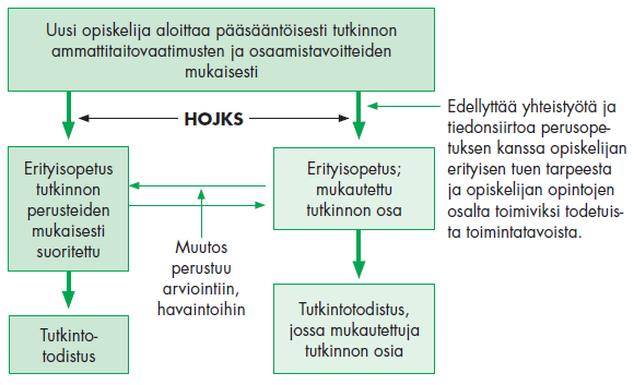 VAAO Ammatilliseen peruskoulutukseen valmentava koulutus 6 (29) Henkilökohtainen opetuksen järjestämistä koskeva suunnitelma (HOJKS) Erityisopetusta tarvitsevalle opiskelijalle on mahdollista laatia