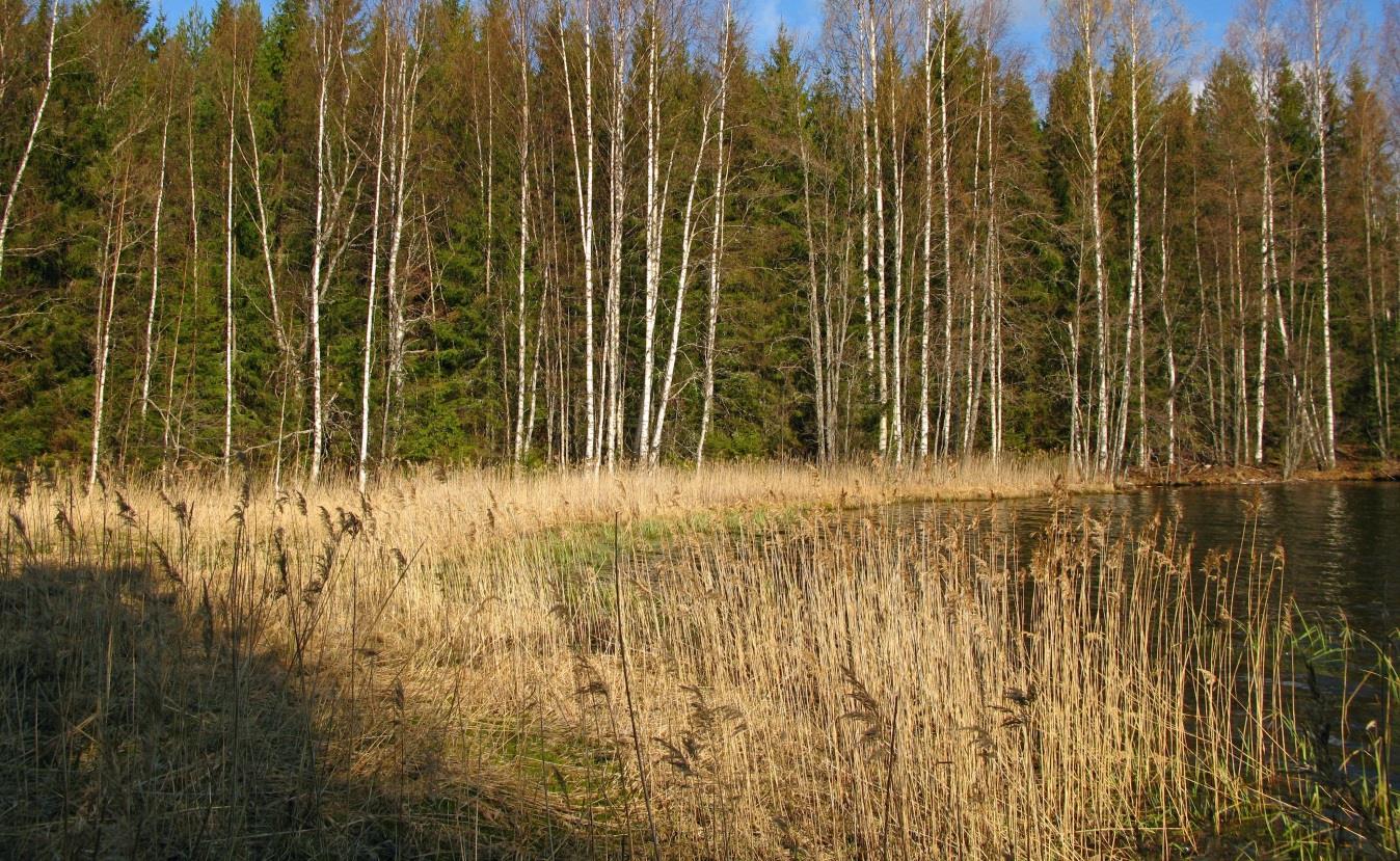 FCG SUUNNITTELU JA TEKNIIKKA OY Raportti 22 Kuva 155: Nivunkilahden kutualuetta Kuva 15a: Nivunkilahden kutualuetta 5.4.