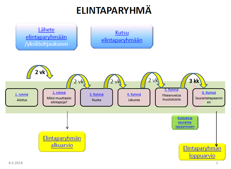 18 Kuva 3. Elintaparyhmän hoitokartta, etusivu 2.6.