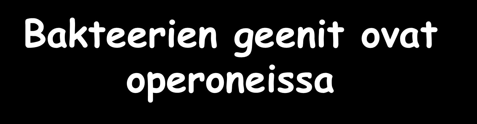 Bakteerien geenit ovat operoneissa Operon 1 Operon 2 Orf0.0 Orf0.