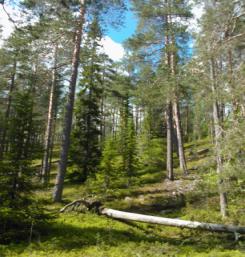YHDISTYSTALO Hämeentie 43 (vanha kirjastotalo) * Kokoontumis-, kerho- ja toimitiloja ilmaiseksi oman kunnan yhdistyksille, järjestöille ja seuroille * Arjen Sankarit toimintaa ma, ke ja pe päivisin