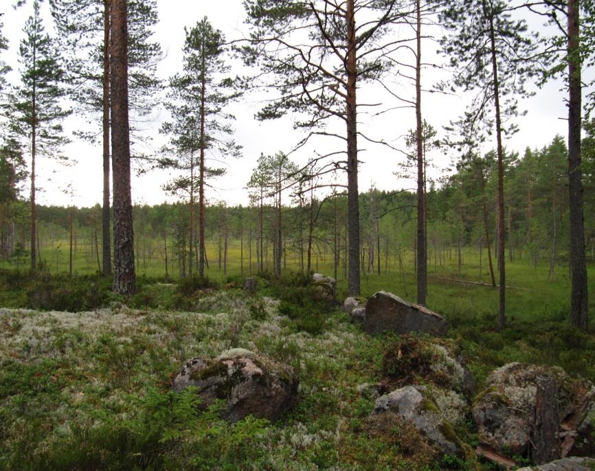 Pirkanmaan maakuntakaava Maakuntakaavaluonnos Luonto, retkeily ja