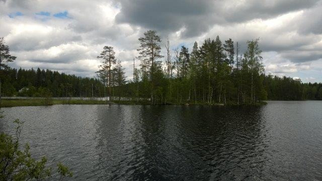 rantojen suunnittelua varten Järven pohjoisosan