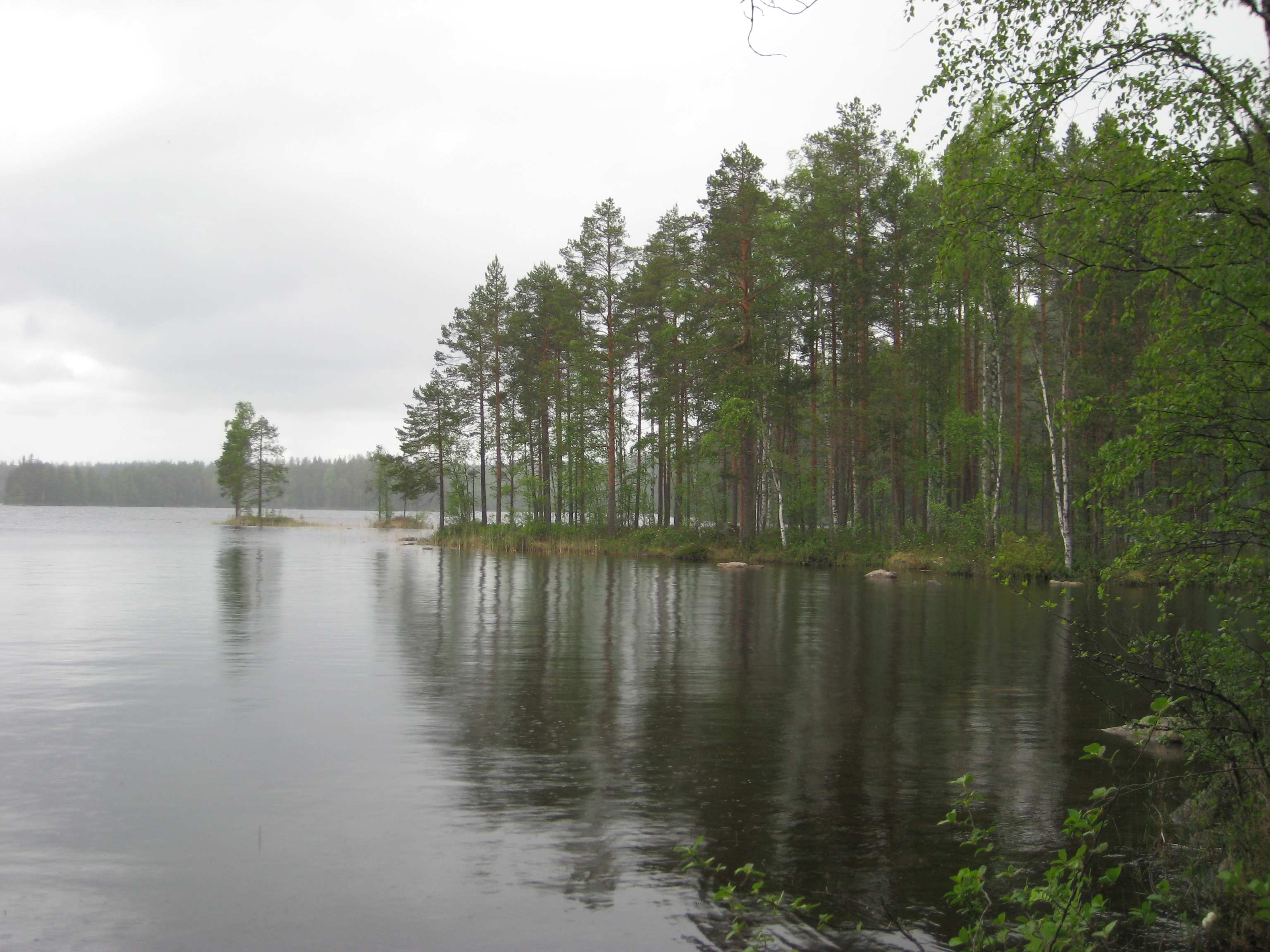 4:185-187. RANTA-ASEMAKAAVALLA MUODOSTUU KORTTELIT 1-10 SEKÄ METSÄTA- LOUSALUEET.