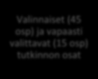 Perustutkinto + Lukio-opinnot Kaikille pakolliset tutkinnon osat Materiaali- ja valmistustekniikka 30 osp Asiakaslähtöinen valmistustoiminta 15 osp Lukioopinnot 15 osp Lukio-opinnot 20 osp