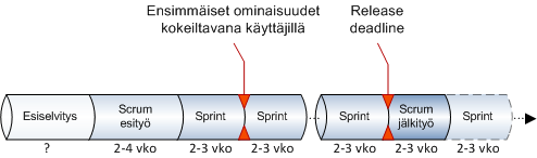 60 Jotta vältytään liialliselta etukäteismäärittelyltä, jolla on riski vanhentua jo ennen toteutusvaihetta, täytyy yrityksen ja toteuttajaehdokkaiden käydä asioita läpi tarkemmin ja luultavasti