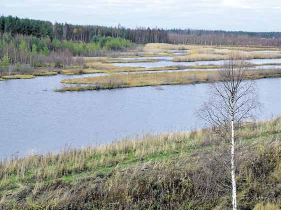 20 Näkemistä ja kokemista lähialueilla Satamakeitaan lintuvesi tornin länsipuolella. Saarekkeet toimivat lintujen pesäpaikkoina.