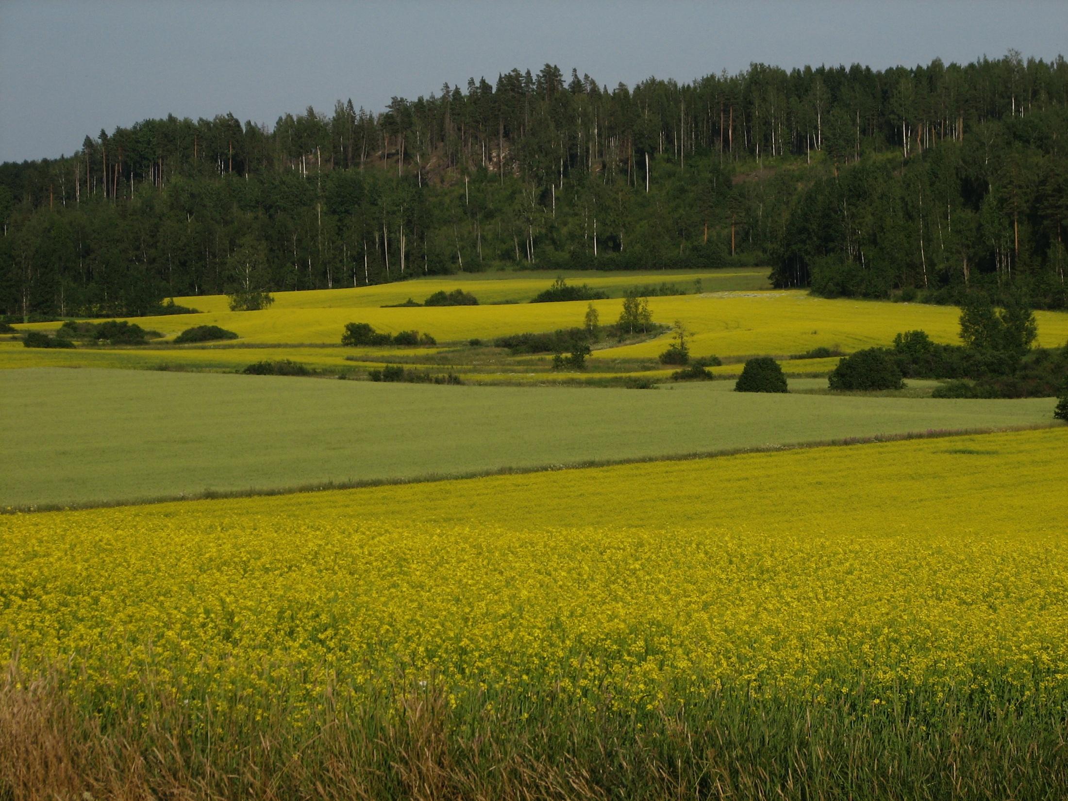 Maatalouspolitiikka määrittää riistankin elinympäristöä Juha Tiainen Riista- ja