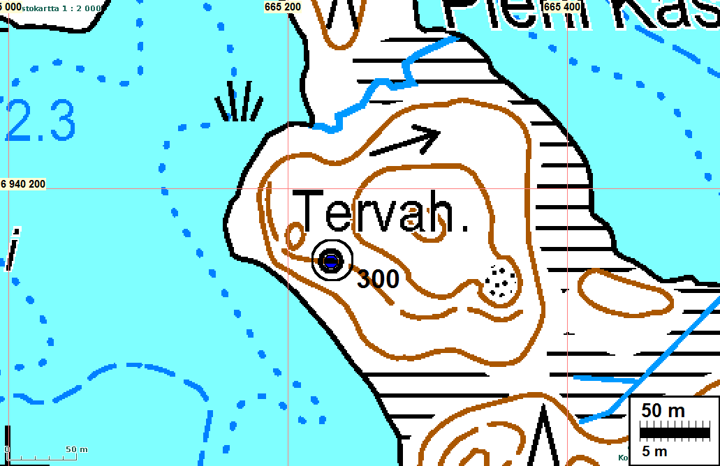 9 JOENSUU 300 KASTELAMPI NE Mjtunnus: Rauh.