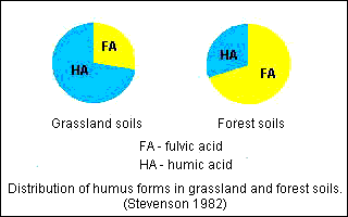 Humusaineiden ja kasvimateriaalin alkuainekoostumus (Kononova) Yhdiste % tuhkaton kuivapaino Hiili (C) Vety (H) Happi (O) Typpi (N) Fulvohappo 44-49 3.5 5.0 44-49 2.0 4.0 Humushappo 52-62 3.0 5.