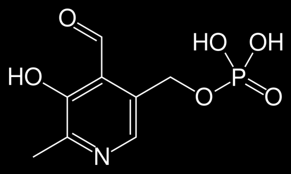 KUVA 1. Asetofenonin muodostus. (3, s. 1.) 2.2 Pyridoksaali-5'-fosfaatti (PLP) PLP (kuva 2) on B 6 -vitamiinin aktiivinen muoto, ja se koostuu pyridoksiinista, pyridoksaalista ja pyridoksamiinista.