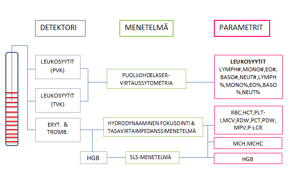 16 Näytteen reitti Sysmex XS-1000i -verenkuva-analysaattorissa (Sysmex Corporation 2011). 5.1.1 Reagenssit ja kontrolli Sysmex XS-1000i -verenkuva-analysaattori tarvitsee neljää erilaista reagenssia toimintaansa.