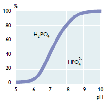 Kuva 1. Divetyfosfaatin ja vetyfosfaatin esiintyvyydet ph:n funktiona. (Kemira, 2003) Saostus jaetaan neljään eri vaiheeseen: kemikaalin syöttöön, koagulaatioon, flokkaukseen ja erotukseen.