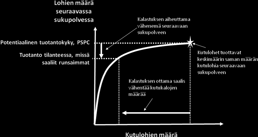 Kuva 12. Beverton-Holt tyyppisen lisääntymisdynamiikan periaate eli emokanta-rekryyttisuhde.