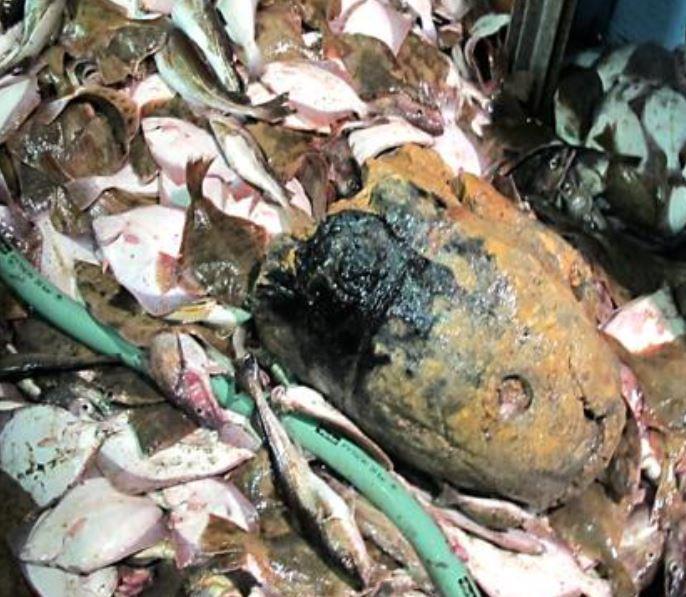 Sinappikaasu- ja arsenikkilöydökset A 45 kg lump of