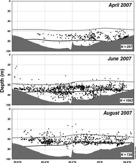 Turska: Suola, happi ja lämpötila Horizontal and vertical distribution patterns of adult cod (Gadus morhua) in the central Bornholm Basin.