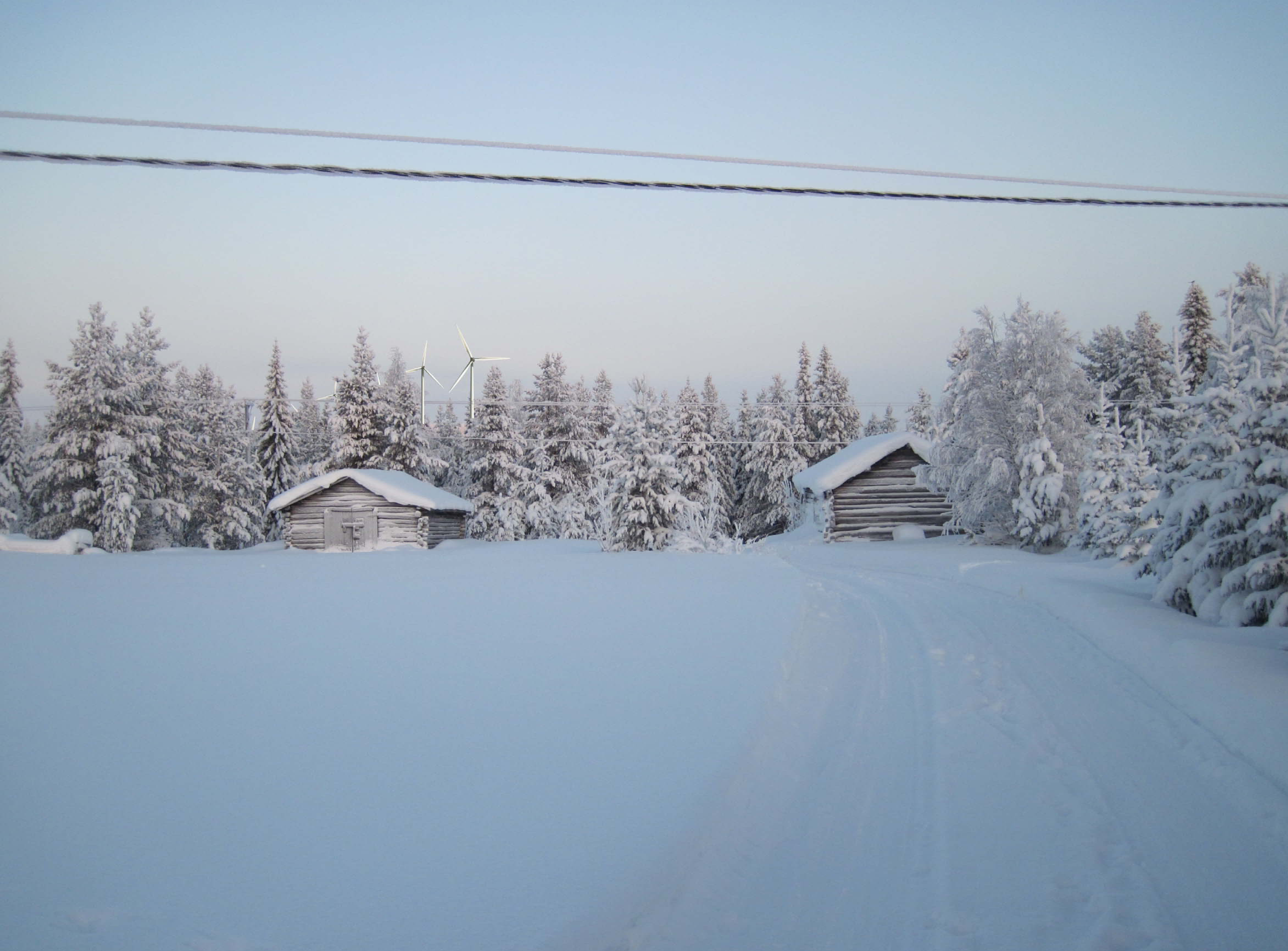 21 Metsähallitus ja Fortum Power and Heat Oy: Kuva 11. Näkymä Ristonmännikön asuintalon pihamaalta pohjoiseen vaihtoehdossa VE2. Etäisyys tuulipuistosta 1,9 km.