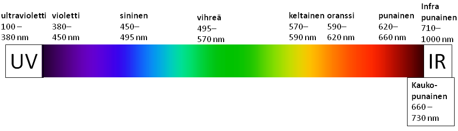Kuva 1. Näkyvän valon, ultraviolettisäteilyn (UV) ja infrapunaisen säteilyn (IR) jakautuminen sähkömagneettisessa spektrissä. Eri värien aallonpituudet on ilmoitettu nanometreinä.
