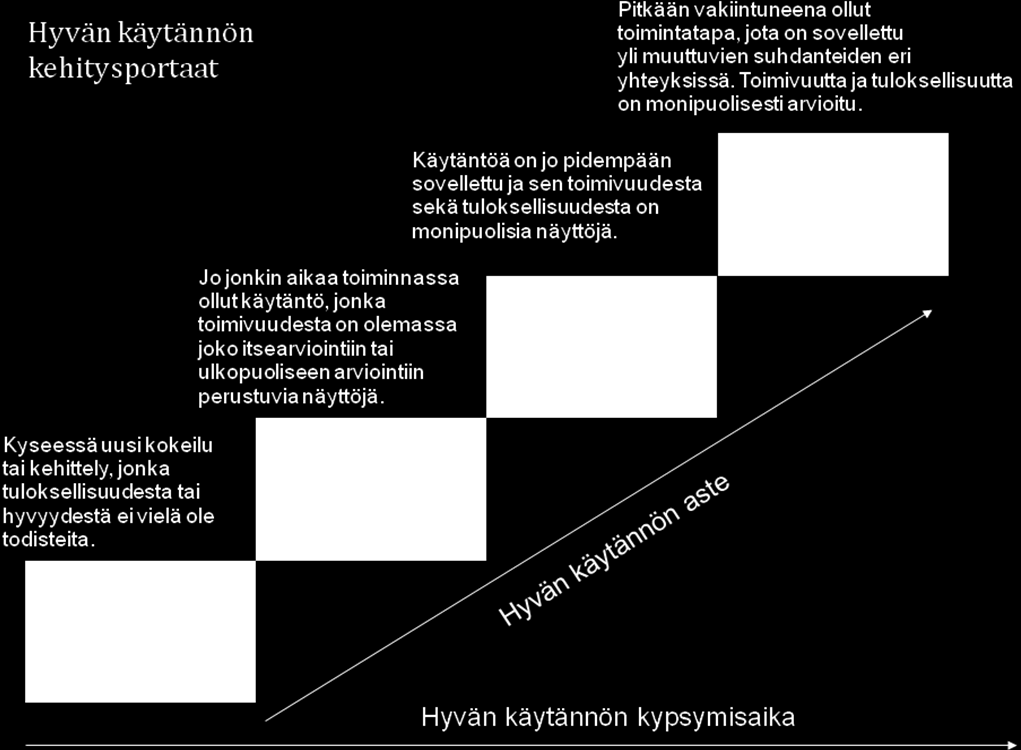 79 Liite 2. Hyvän käytännön kehitysportaat.