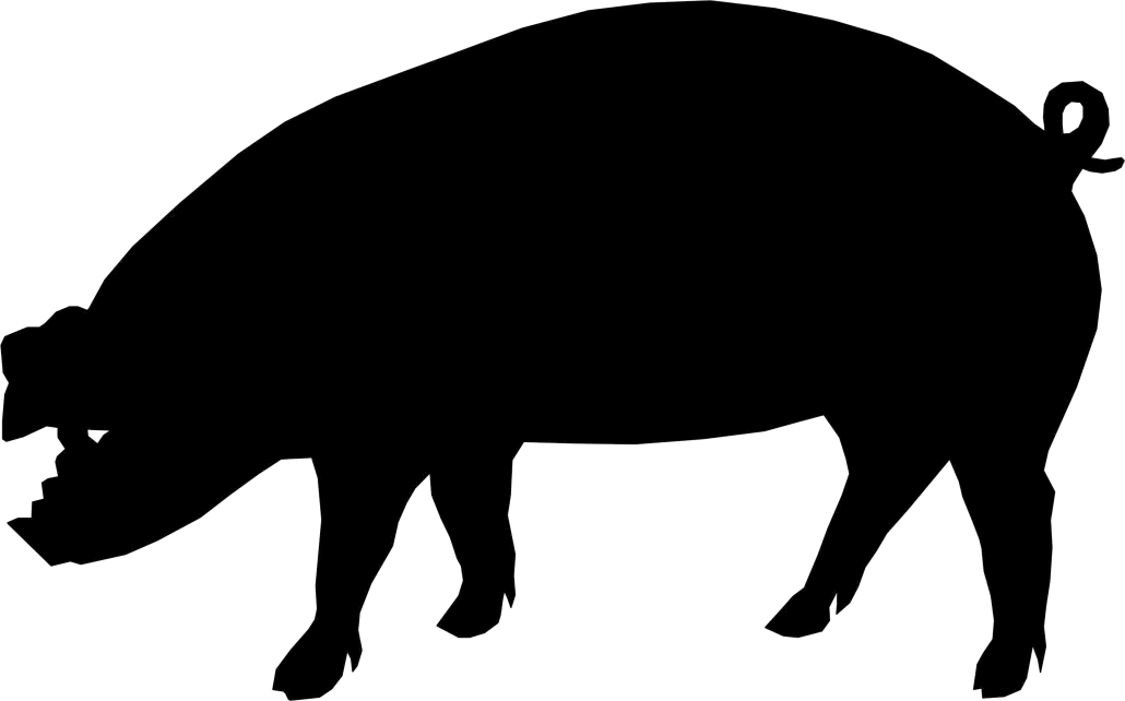 Hännänpurennan ehkäisyyn tarkoitetun lisärehun vaikutus lihasikojen käyttäytymiseen ELK Reetta Räsänen Eläinlääketieteen lisensiaatin