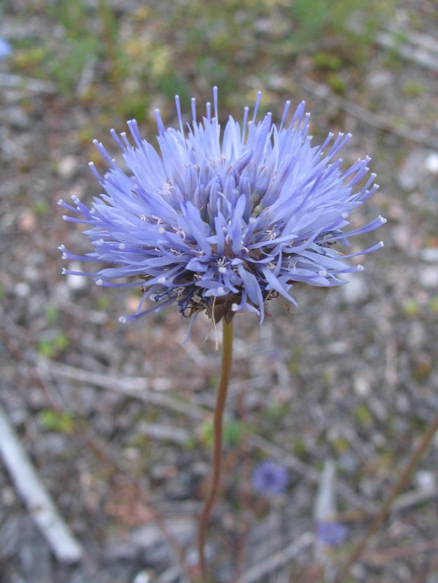 2014 VT12 Tillola-Keltti TS:n tarkistus,