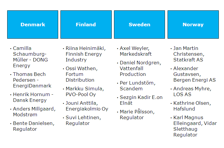 10 Referenssiryhmä ryhmä koostuu 5 edustajasta per maa