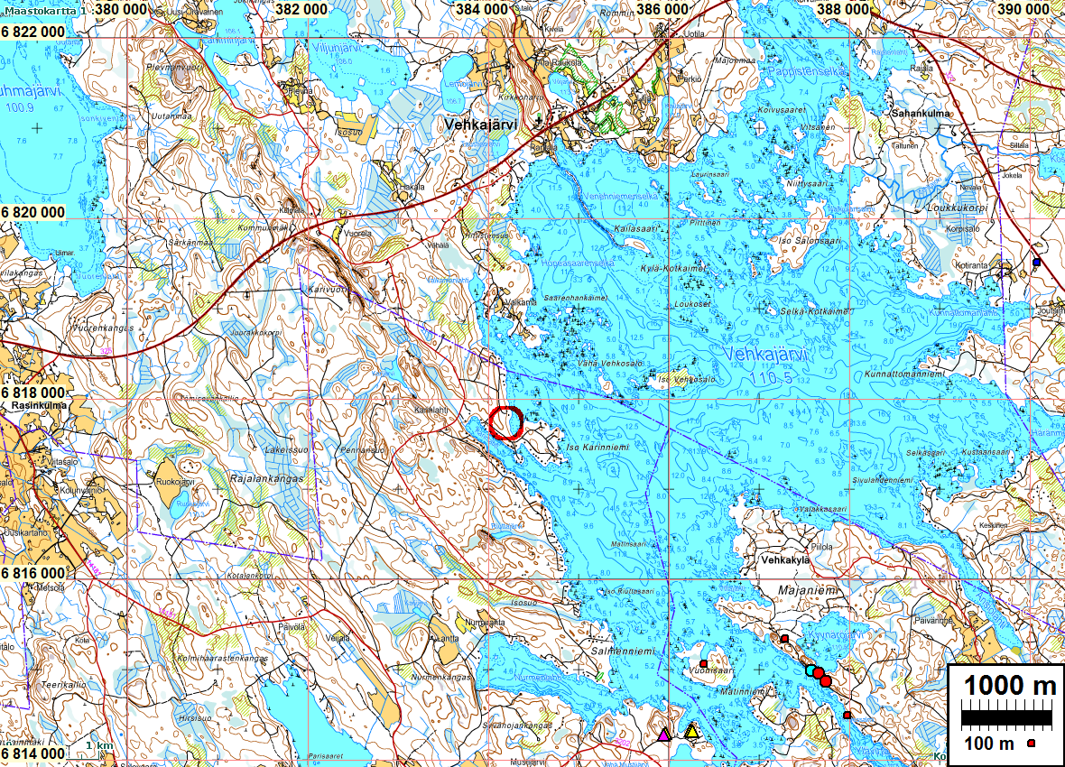 2 Sisältö: Perustiedot... 2 Inventointi... 3 Kansikuvassa: Kivikkoista maastoa Iso-Karinniemessä. Perustiedot Alue: Pälkäne, Iso-Karinniemi.