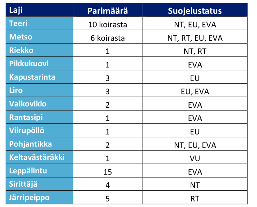 Taulukko 2. Suojelullisesti huomionarvoisten lajit ja niiden parimäärät hankealueella.