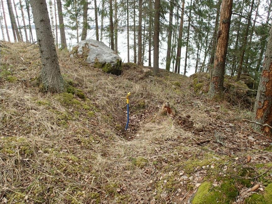 Alue on mäntyä ja kuusta kasvavaa metsää. Hiilimiilu sijoittuu voimassa olevan kaavan RA-alueen reunalle.