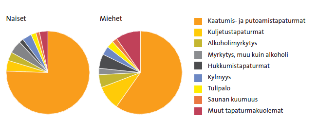 Liite 5 - Iäkkäiden kaatumisen ehkäisy Laajaa joukkoa koskettava terveysongelma Joka kolmas yli 65-vuotias ja joka toinen yli 80-vuotias kaatuu vahintaan kerran vuodessa.