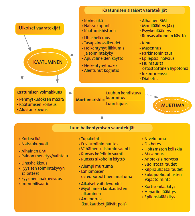 Kuvio 8. Murtumavaaraan vaikuttavat tekijat. (Lahde: Karinkanta ym., 2010).