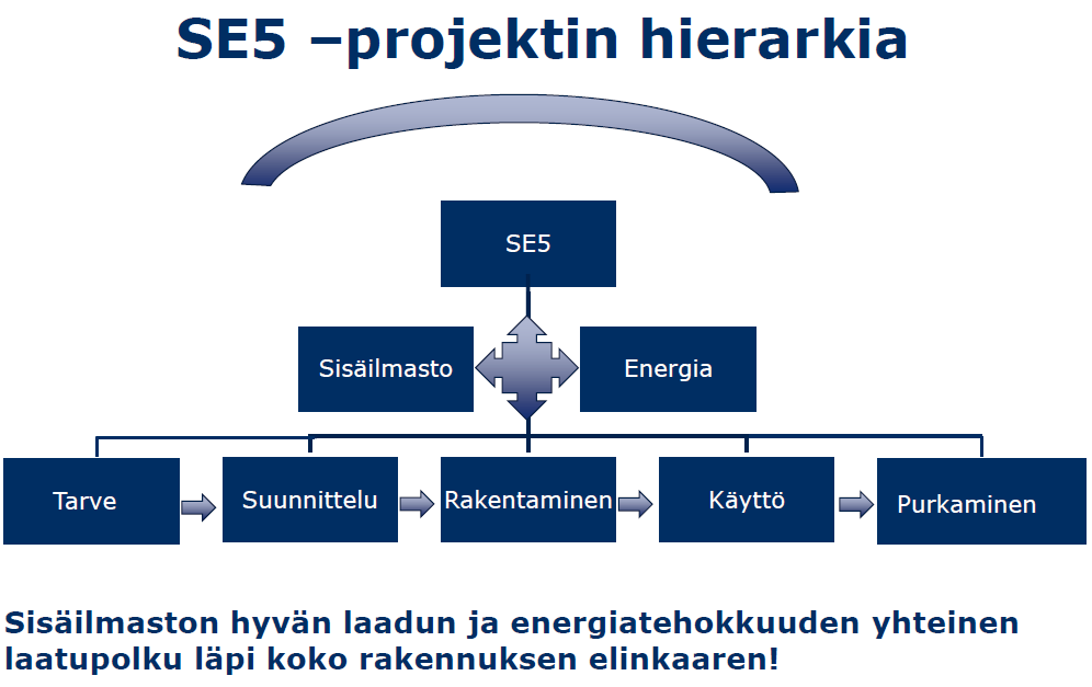 FCG KONSULTOINTI OY Projektiraportti 11 (73) Kuva 1. SE 5-projektin hierarkia.