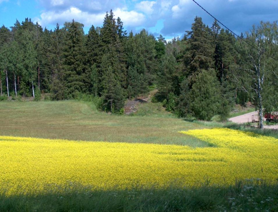 Ominaispiirre Plus Miinus Aiempi maankäyttöhistoria 1 Maalaji 1 Maaperän kosteustaso 1 Kivikkoinen / kallioinen 1 Viettävyys 1 Avautumissuunta 1